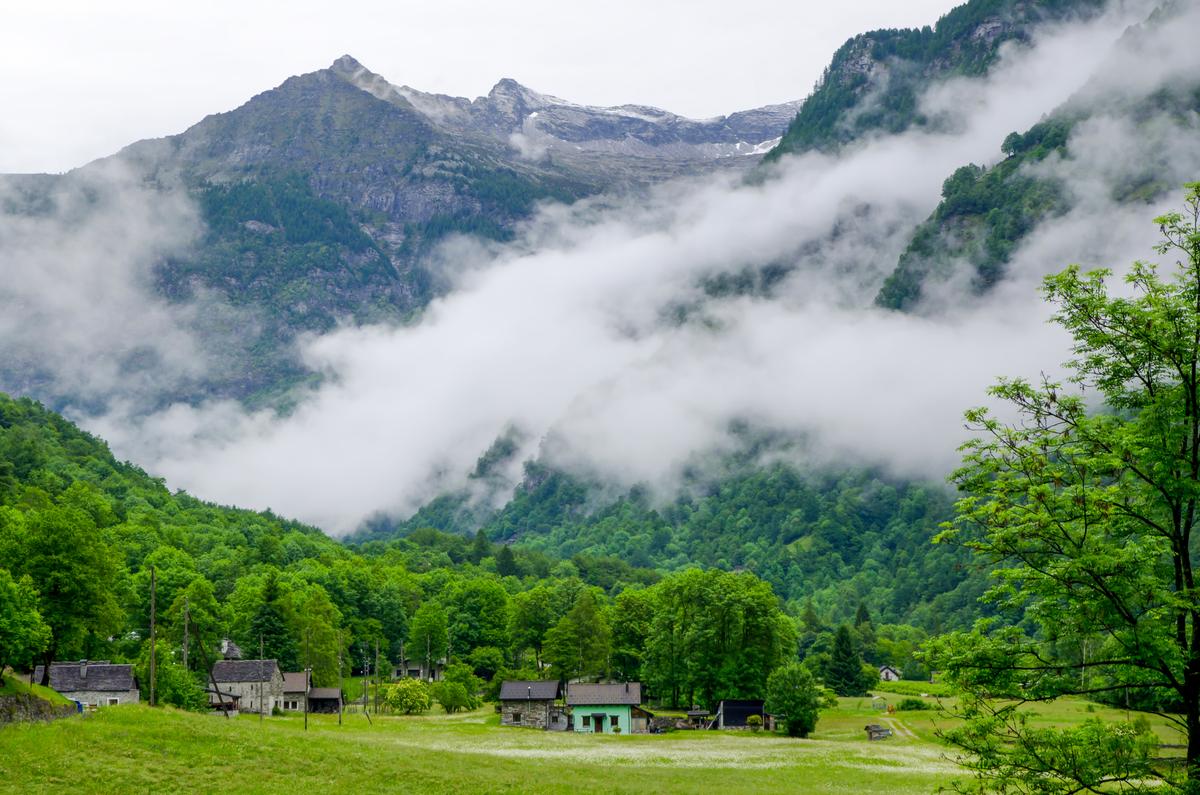 Munnar Heritage, Highlands & City Escape | Culture, Tea & Discovery